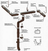 Foramina